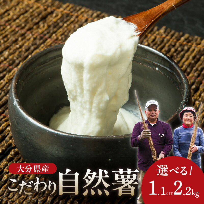 【ふるさと納税】こだわり自然薯 【選べる内容量】約1.1kg〜 やまいも 山芋 ねばり 風味 とろろ じねんじょ 自然薯 とろろご飯 料理 自然 芋 長芋 大和芋 健康 ジネンジョ