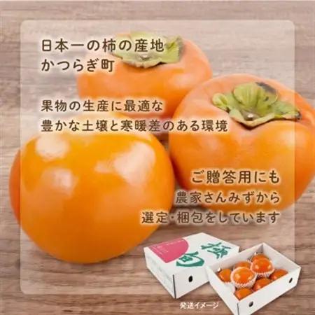先行予約!富有柿　秀品6~8個入り　こだわり農家厳選【2026年10月末頃から順次発送】【1682783】