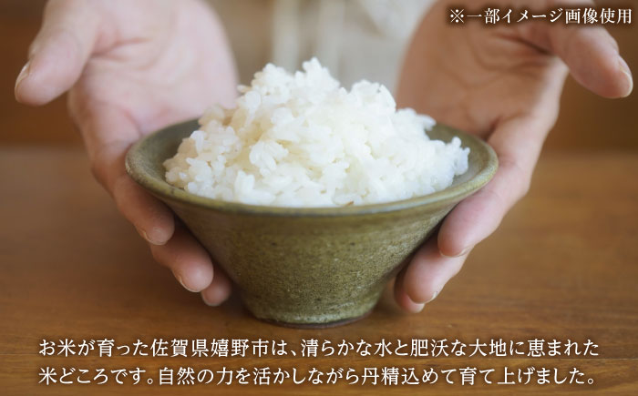 【2025年発送分 先行予約】令和7年産 ひのひかり5kg 白米 / ふるさと納税米 / 佐賀県 / 有限会社中島商店 [41AGAC003]