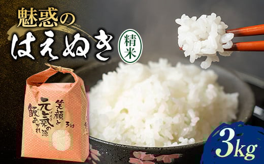 【先行予約】 令和7年産 魅惑のはえぬき3kg 米 お米 おこめ ふるさと納税 山形県 新庄市 F3S-2379