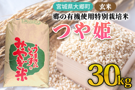 令和7年産 郷の有機使用特別栽培米 つや姫 玄米 30kg｜令和7年産 2025年産 お米 米 こめ 玄米 特栽米 宮城産 コメ [0297]