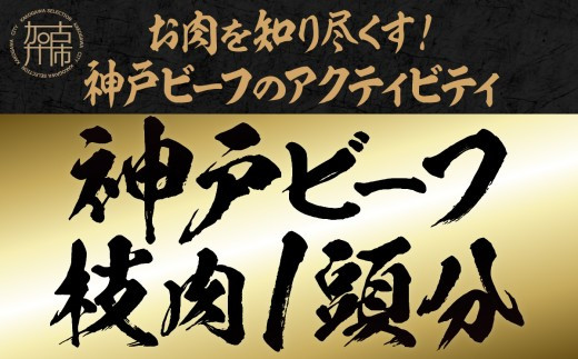 
                  【時期限定】お肉を知り尽くす！牛肉(神戸ビーフ)のアクティビティ(1泊2日)《 肉 牛肉 見学 体験 パーティー オークション 競り 参加型 》【2499L00631】
                