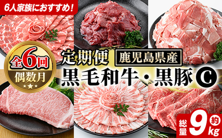 ＜定期便・全6回(偶数月)＞6人家族用！鹿児島県産 黒毛和牛・黒豚 定期便 C (総量約9kg) 国産 黒豚 しゃぶしゃぶ 肩 ロース スライス 訳あり 切り落とし 黒毛和牛 サーロイン ステーキ 黒豚 バラ カタ ウデ 小分け セット 【スターゼン】akn042-39