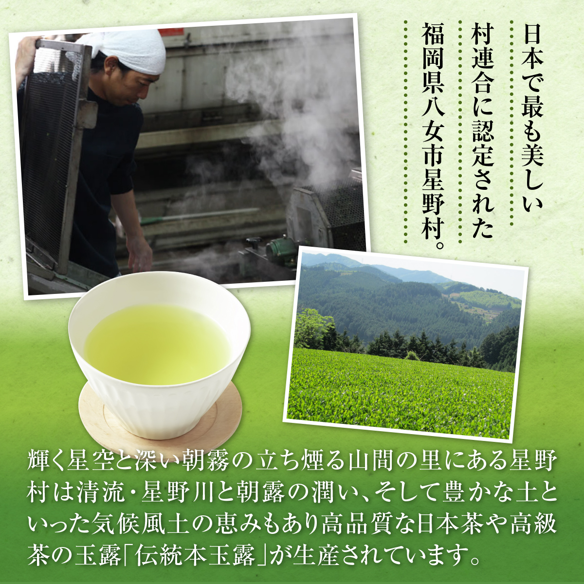 奥八女星野村 深蒸し高級煎茶(深蒸し茶)1袋100g UX016