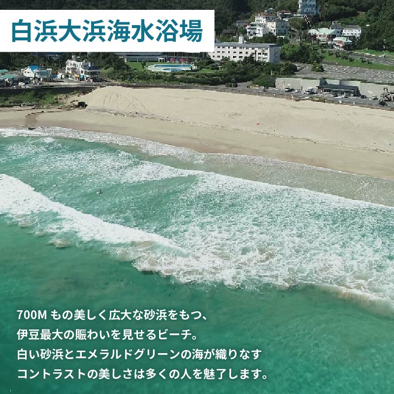 FFKT 2026 Izu Shirahama チケット 野外 屋外 フェス 音楽 Music ライブ クラブ DJ ダンス 海 イベント 白浜 ホテル伊豆急 ホテル プール 静岡県 下田市 伊豆