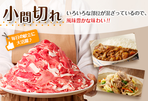 豚小間切れ 豚ミンチ セット 合計3kg 肉 豚 豚肉 国産 食品 おかず こま切れ 挽肉 宮崎県産 日南市産 送料無料 ムラチク万能豚肉_BC87-23