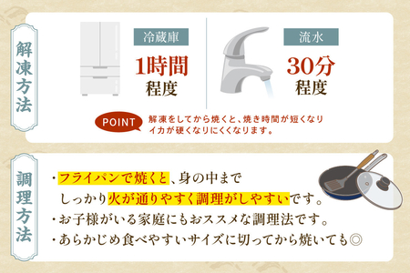 島根県産スルメイカ一夜干しカット済600g　（ゲソ200ｇ付き） 産地直送 干物 一夜干し イカ 人気 大容量 小分け 国産 【005_2058】