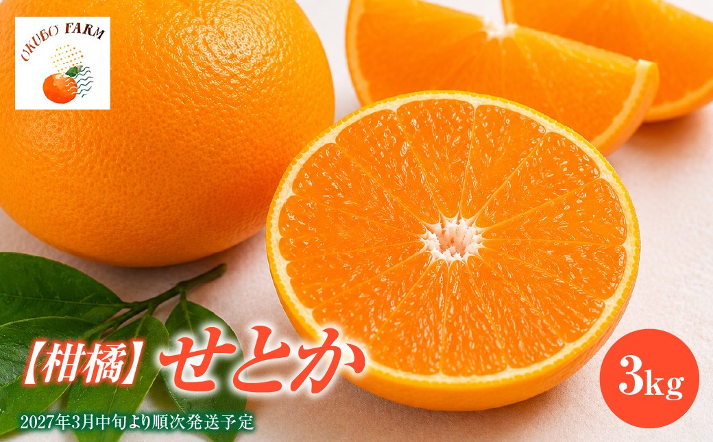 
                  【柑橘】せとか 3kg　※2027年3月中旬より順次発送予定【ふるさと納税 人気 おすすめ ランキング 柑橘 みかん ミカン フルーツ せとか セトカ 果物 OKUBO FARM 愛媛県産 家庭用 愛媛県 伊方町 送料無料】IKTAT019
                
