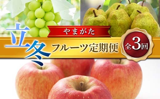 ≪2026年先行予約≫ 全3回やまがた 立冬フルーツ定期便 マスカット ぶどう ブドウ 葡萄 デザート フルーツ 果物 くだもの 果実 食品 山形県 FSY-2718