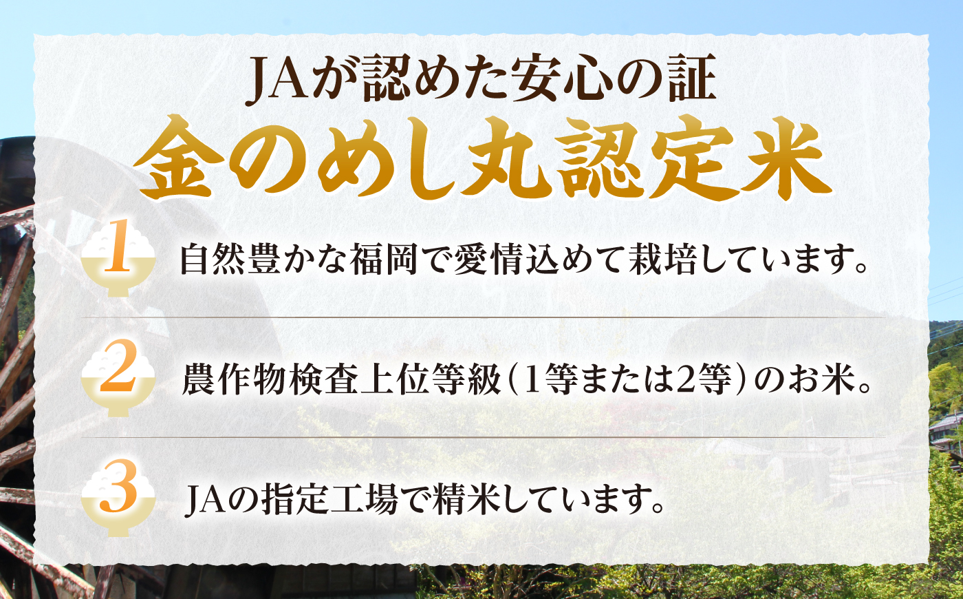 【新米先行予約】【全6回定期便】福岡県産米 夢つくし 20kg (10kg×2袋) 【2024年9月以降順次発送】 《豊前市》【湯越農園】米 精米 白米 [VBC015]