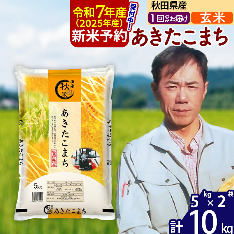 【ふるさと納税】※令和7年産 新米予約※秋田県産 あきたこまち 10kg【玄米】(5kg小分け袋)【1回のみお届け】2025年産 お米 みそらファーム