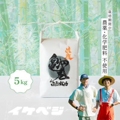 ふるさと納税 佐渡市 【亀の尾】白米 5kg 令和8年産 新潟県佐渡産