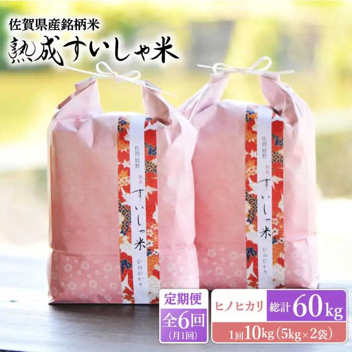 【定期便】 白米 ヒノヒカリ10kg NAO061 全6回 白米