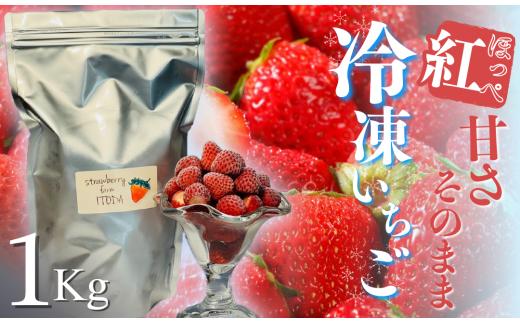 地元JA品評会金賞受賞　冷凍イチゴ1Kg　【 いちご 果物 フルーツ 苺 イチゴ 冷凍 果物 フローズン くだもの 大容量 静岡県産 期間限定 】　<AO-1>