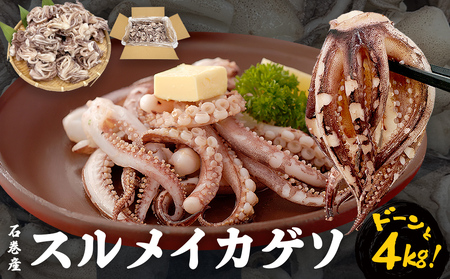 訳あり スルメイカ ゲソ 4kg イカ