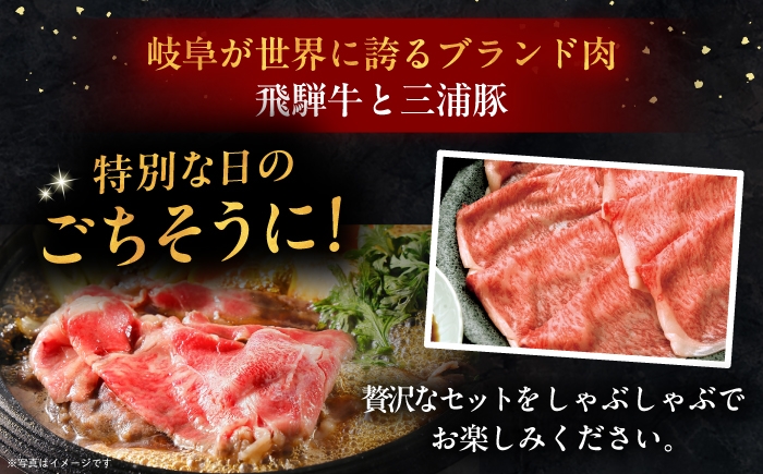 飛騨牛 牛肉 和牛 肉 三浦豚 豚肉 焼肉 BBQ バーベキュー ロース カルビ 贈答 ギフト おすすめ 人気 岐阜県 恵那市