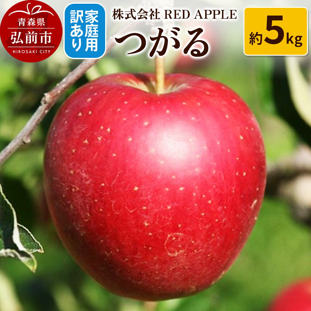 【ふるさと納税】りんご【訳あり】家庭用 つがる 約5kg
