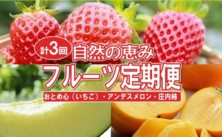 
                  ≪3回定期便≫ 自然の恵みフルーツ定期便2026(2) 4月下旬～5月下旬 おとめ心 いちご 6月下旬～7月下旬 アンデスメロン 10月中旬～11月下旬 庄内柿 計3回 山形 酒田 頒布会 イチゴ 苺 かき カキ 平種無し柿 JAそでうら　SC0627
                
