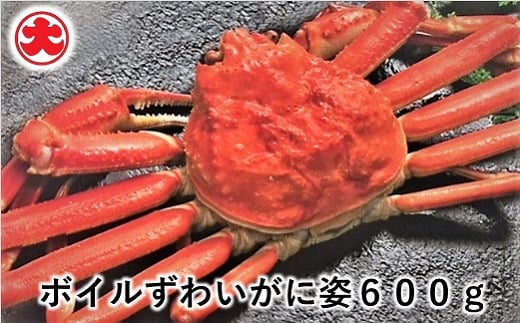 A-01046【年内配送可】 ボイルずわいがに姿600g×1尾