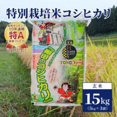 【50セット限定】令和5年産 新潟上越清里産 特別栽培米コシヒカリ15kg(5kg×3袋)玄米