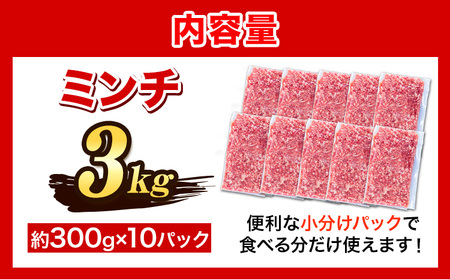 ＜阿波の金時豚＞ ミンチ 大容量 3kg アグリガーデン 《30日以内に出荷予定(土日祝除く)》