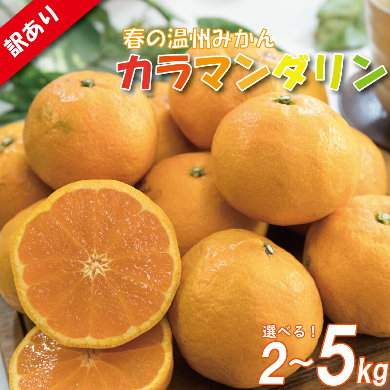 【ふるさと納税】 訳あり カラマンダリン 春みかん 2S-3L 約2kgまたは約5kg ( 訳あり みかん 訳あり柑橘 訳あり商品 カラマンダリン みかん 柑橘 松山 愛媛県 )