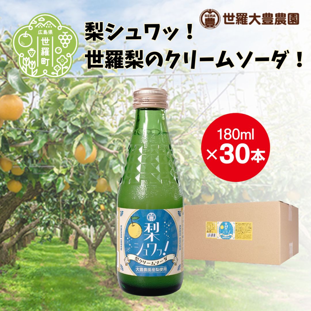 【ふるさと納税】梨シュワッ！～世羅梨のクリームソーダ！～ 梨 なし クリームソーダ ジュース 炭酸 桜南 食品 世羅 世羅梨 A019-06