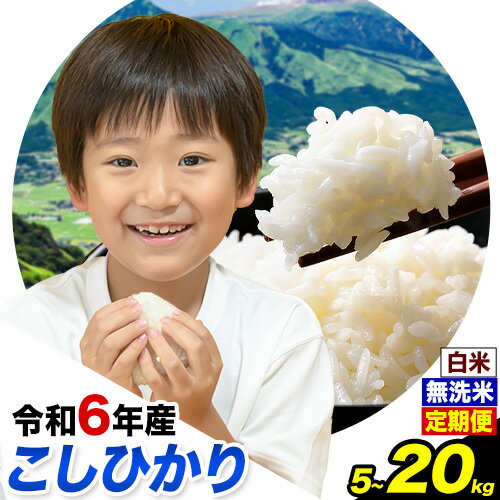 【ふるさと納税】 令和6年産 無洗米 も 選べる こしひかり 白米 or 無洗米 選べる精米方法 内容量 5kg 10kg 15kg 20kg 白米 精米 無洗米 熊本県産(南阿蘇村産含む) 単一原料米 南阿蘇村 産 米《7-14日以内に出荷予定(土日祝除く)》