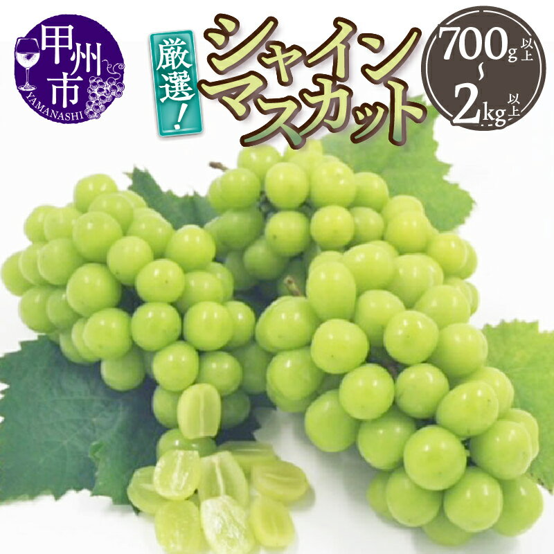 【ふるさと納税】 シャインマスカット 選べる内容量 700g以上～2kg以上 1房～4房 果物 ぶどう フルーツ 甲州市産 2025年発送 厳選 産地直送 8月 9月 10月 発送 期間限定 数量限定 贈答 ギフト 家庭用 山梨 社員マスカット （THR）