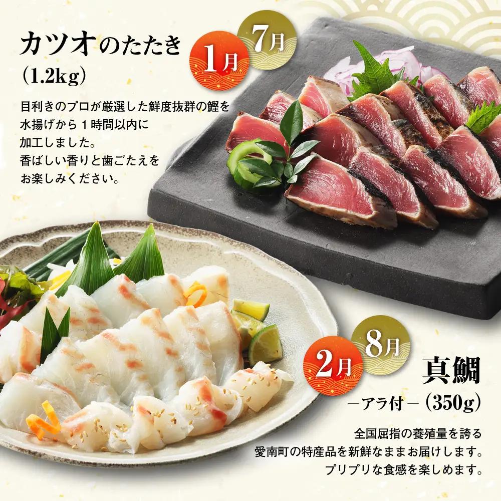 【 刺身 】 刺身定期便 6回