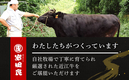 【近江牛 切り落とし】近江牛 切り落とし こま肉 500g 黒毛和牛 切り落し  和牛 国産 近江牛 和牛 近江牛 ブランド牛 和牛 近江牛 三大和牛 牛肉 和牛 近江牛 冷凍 贈り物 和牛 近江牛 