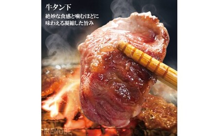 牛タン 肉汁ジューシー牛舌(下)カルビ成型肉焼肉用 計2kg(250g×8パック) 牛肉 【牛タン】【ho1661】