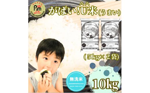 CID14_【がばい！U米(うまい)】≪無洗米≫お徳用１０ｋｇ！ （５ｋｇ×２袋）