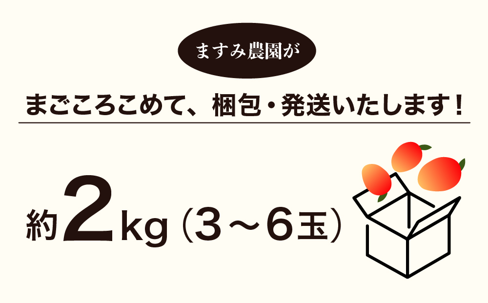 2026年 先行予約 マンゴー 夏小紅 約2kg 3～6玉 ますみ農園 甘味 スッキリ 果物 フルーツ