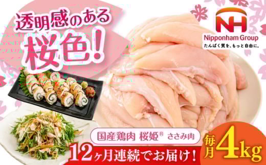 【全12回定期便】桜姫 ささみ 計4kg（2kg×2パック）《厚真町》【東日本フード株式会社】 桜姫 国産鶏肉 鶏肉 鶏 とり肉 ささみ ササミ 冷凍 北海道 [AXBM075]