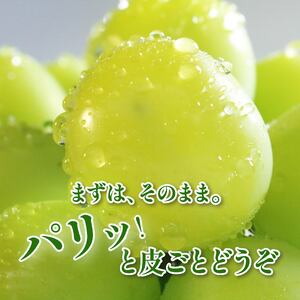 シャインマスカット 2房 約1kg シャインマスカット