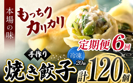 6回 定期便 地元野菜 ・ 国産素材 を使用 ニンニク不使用 手作り焼き餃子 ( 冷凍 ) 20個 【 手作り餃子の店 吉春 】 | 料理 食品 ぎょうざ ギョーザ 餃子 水餃子 冷凍餃子 人気 にんにく不使用 にんにくなし ニンニク不使用 食べ切り お惣菜 定番 もちもち カリカリ お取り寄せ 豚肉 豚 小麦 北海道小麦 キャベツ にら しょうが 国産 グルメ 本場 麺点師 国領 調布 東京