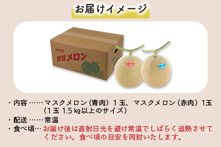 【先行予約】マスクメロン 青肉・赤肉 2色セット（1.5kg以上 2玉入）食べ比べお楽しみ！アールスメロン ／ あわら 期間限定 果物 フルーツ 産地直送 人気 甘い ※2023年7月上旬より順次発送