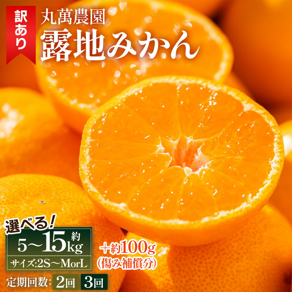 【ふるさと納税】【2026年出荷分】訳あり 露地みかん(2S〜M/Lサイズ) 約5kg/約10kg/約15kg ＋約100g (傷み補償分) - 選べる内容量 サイズ 小玉 果物 くだもの フルーツ 果実 柑橘 蜜柑 みかん ミカン 期間限定 訳アリ 家庭用 ギフトキズ 傷 5キロ 丸萬農園 高知県 香南市