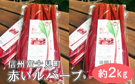 【2025年9月より順次発送】 富士見町の赤いルバーブ約2kg（500g×4袋） 富士見町ルバーブ生産組合