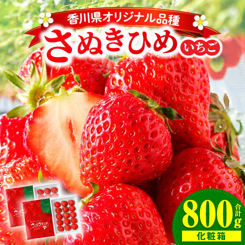 【ふるさと納税】【先行予約】三木町地域いちご部会『さぬきひめ』 400g（化粧箱入）×2箱 果物 フルーツ 苺 デザート 食後のデザート イチゴ 旬 おすすめ グルメ 季節 ギフト 果肉 農産物 おすそ分け アレンジ 旬の果物 贈答 贈り物 果実 パック 国産 冷蔵 香川県