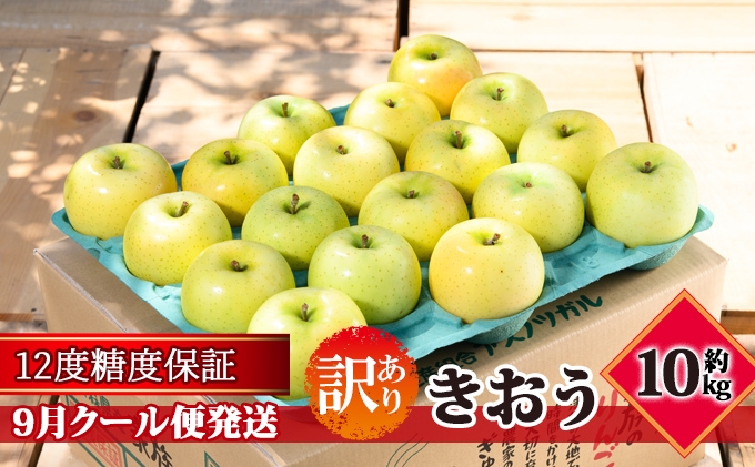 
                  【9月クール便発送】（12度糖度保証）訳あり品 家庭用 きおう約10kg【 青森りんご 果物類 林檎 リンゴ 青森県産 フルーツ 旬の果物 産地直送 訳アリ  】
                
