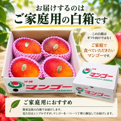 【2027年6月下旬から順次発送・家庭用】JAおきなわ厳選 完熟アップルマンゴー2kg(3～7玉)【配送不可地域：離島】