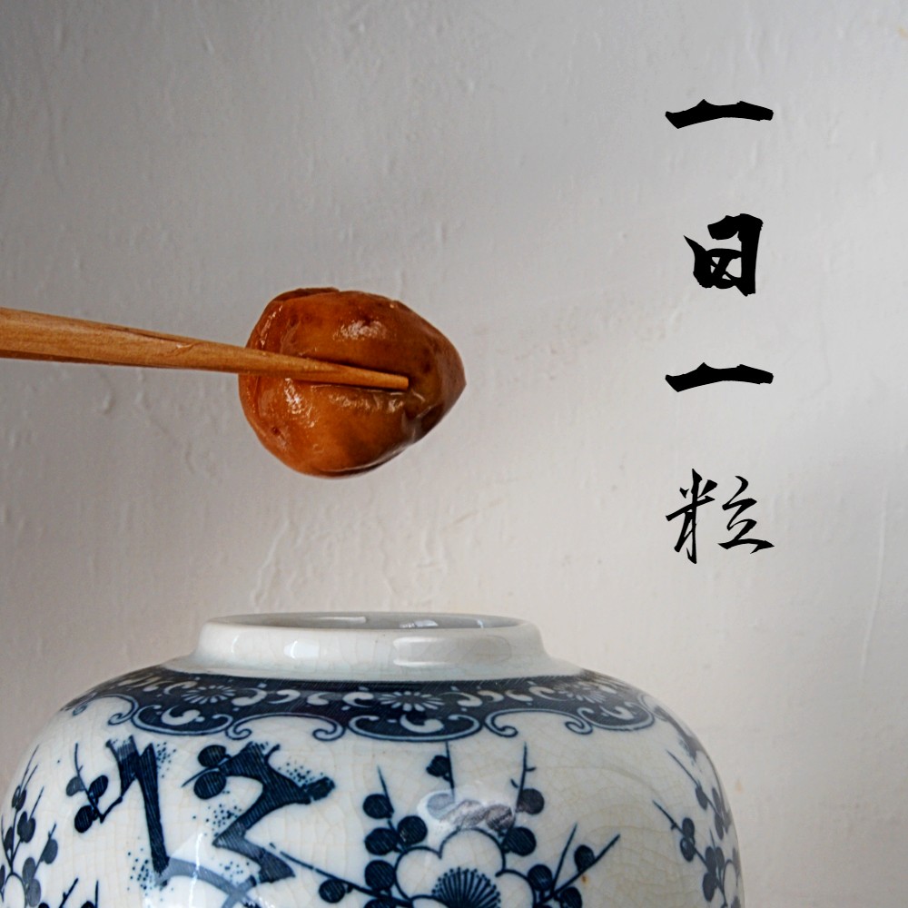 無添加 梅干し 減塩 小分け 1kg 1キロ 舞鶴産 うめぼし お取り寄せ 漬物 南高梅 昔ながら 田舎