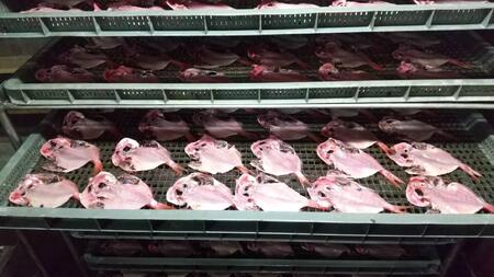 【ふるさと納税】まるふと厳選ひもの詰合せ（６種類）