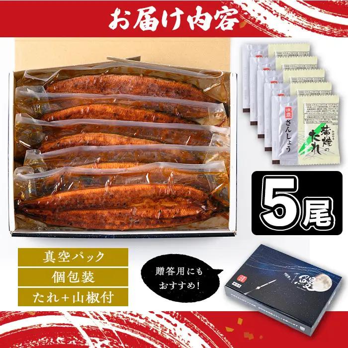国産 鰻 蒲焼 5尾 計800g以上 うなぎ 鰻 有頭【一般社団法人きもつき宇宙協議会】C57003 