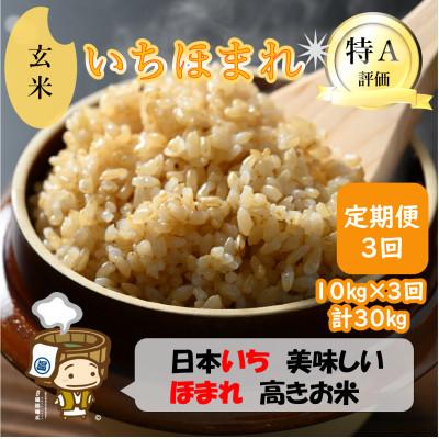 ふるさと納税 あわら市 【毎月定期便】いちほまれ 玄米 5kg×2袋(計10kg)全3回