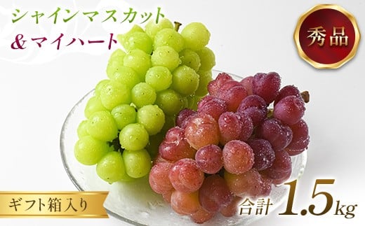 
            ぶどう シャインマスカット＆マイハート1.5kg 秀品 ギフト箱入り 【令和8年度 先行予約】 FSY-2659
          