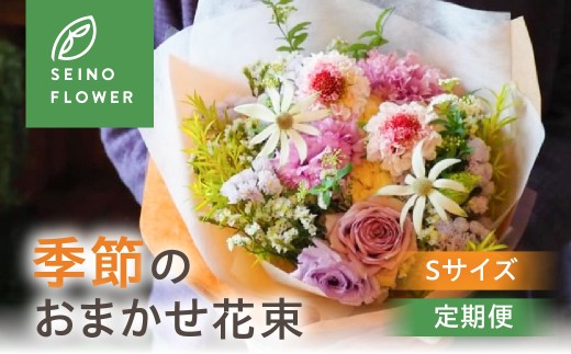季節のお花 Sサイズ 西濃フラワー 定期便  6回