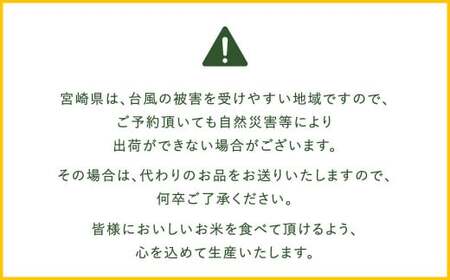 ＜【 3か月定期便】令和6年産「宮崎県産ヒノヒカリ(無洗米)」5kg＞ 11月中旬以降に第1回目発送（8月は下旬頃）【c470_ku_x9】 米 ヒノヒカリ 定期便 コメ 無洗米